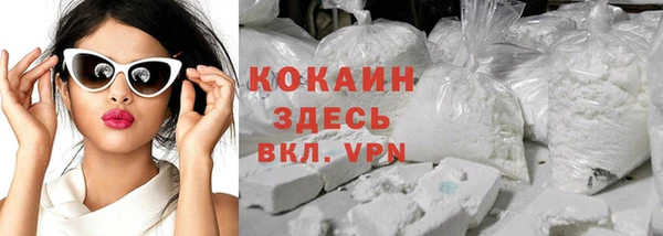 PSILOCYBIN Лагань