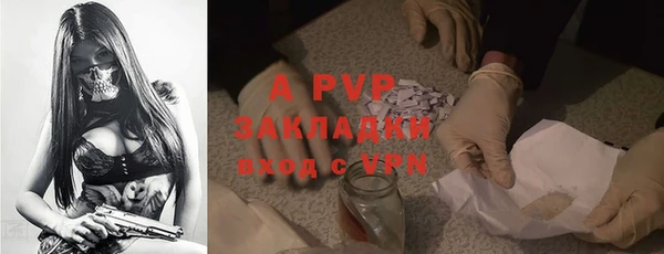 стаф Ладушкин
