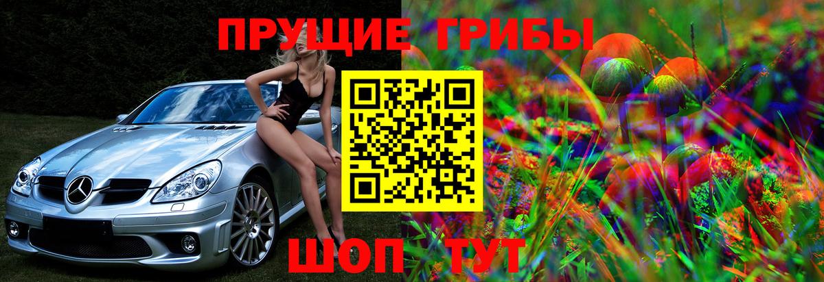 Галлюциногенные грибы прущие грибы  Вход с VPN  Саки  Псилоцибиновые грибы Magic Shrooms 